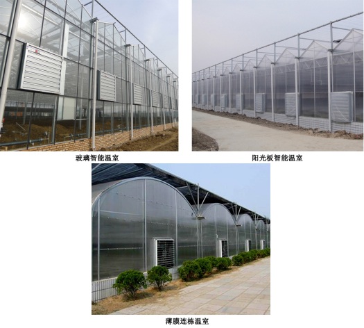 玻璃智能溫室、陽(yáng)光板智能溫室、薄膜連棟溫室